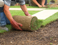 Turf_Laying