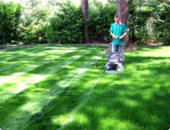 Lawn Mowing